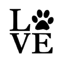 Kedi Love Ask Sticker 15x15 Cm Siyah