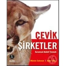 Alfa Yayınları Çevik Şirketler