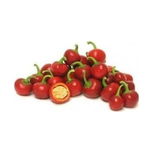 Süper Paket 250 Adet Tohum Nadir İthal Cherry Kiraz Biberi Tohumu Biber Tohumu