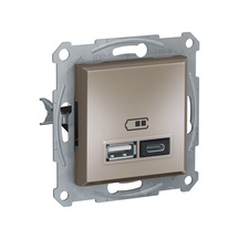 Schneider Asfora Plus Bronz Usb Şarj Prizi 24A Type A+C Çerçeves