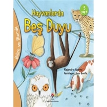 Hayvanlarda Beş Duyu - Bilim ve Merak