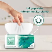 El Ve Yüz Havlusu 100'lü Açik Gri