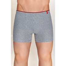 4433 Erkek Boxer Gri