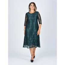 Nidya Moda Büyük Beden Sıfır Yaka Dantel Elbise-4036Y Çok Renkli