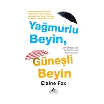 Yağmurlu Beyin Güneşli Beyin- Pegasus