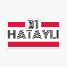 31 Hataylı Plaka Araba Sticker Yapıştırması