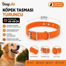 Dog Life Köpek Boyun Tasması 43-49 Cm Ayarlanabilir Metal Tokalı D Halkalı - Turuncu Çok Renkli