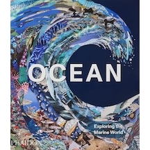 Ocean Exploring The Marine World