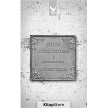 Şiirin Ortak Paydası - 1 Şiirbilime Giriş - Mehmet Yalçın - İkaros Yayınları