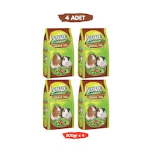 Premium Zenginleştirilmiş Özel Tahıllı Vitaminli Ginepig Yemi 500gr X 4 Adet
