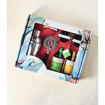 Kokteyl Set Kutusu 06-hibiscus/satsuma Cordial
