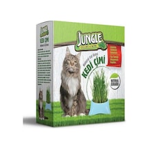 Jungle Kedi Çimi