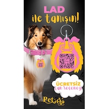 Petjoo 23.Lad Sarı-Pembe Qr'lı Köpek Künyesi