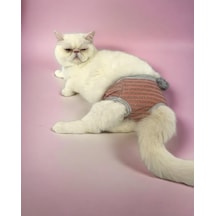 Kemique Pink Shine Kedi İç Çamaşırı Regl Külot