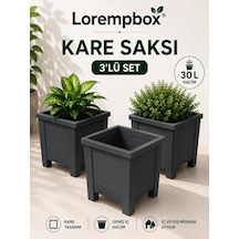 Lorempbox 30 L Kare Saksı 3'lü Set Gri