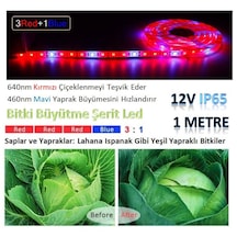 Tam Spektrum Hidrofonik Fito Sera Bitki Büyütme 5050 WP Şerit LED Işık 3 Red 1 Blue