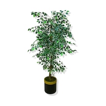 Cihan Çiçekçilik Ficus 160 Cm Yapay Ağaç 30x25 Gold Kemerli Saksı Beyaz- Yeşil