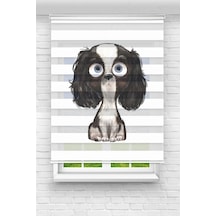 Perdecizade Enxboy Köpek Dijital Baskılı Zebra Perde-cocuk Odası-stor Perde Renkli