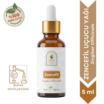 5 ML
