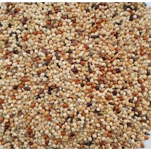 Özel Karışık Muhabbet Kuşu Yemi 10 KG