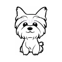Yorkshire Terrier Köpek Araba Sticker