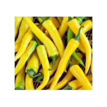 Sarı Süs Biber Tohumu - 3 Gram
