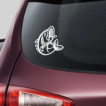 Balık Araba Sticker Yapıştırma