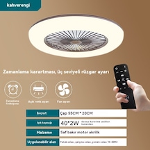Fan Işığı Tavan Lambası Basit Modern Led Işık Çapı 55cm Kahverengi