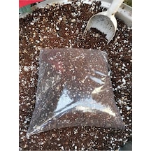 Tr Kaktüs Topragı Çok Özel Kaışım   Taş Kaktüs Lithops Aloe Vera 4 Litre Diğer