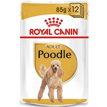 Royal Canin Poodle Yetişkin Pouch Yaş Köpek Maması 12 x 85 G