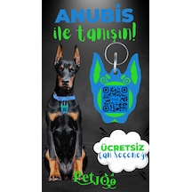 Petjoo 30.Anubis Yeşil-Mavi Qr'lı Köpek Künyesi