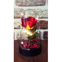 Led Işıklı Şeffaf Mika Fanusta Işıklı Gül Kırmızı + Kolye Set