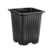 Thermoform Kare Saksı 50 Adet 9 Cm