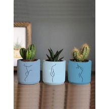 Minimalist Kadın Çizimli 3lü Set Kaktüs Ve Sukulent Saksısı Hediyelik
