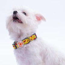 Watermelon Karpuz Desenli Köpek Boyun Tasması Ayarlanabilir Köpek Tasması Sarı