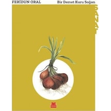 Bir Demet Kuru Soğan - Feridun Oral - Kırmızı Kedi