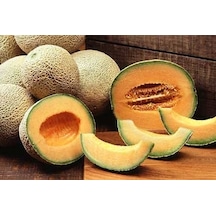 10+ Cantaloupe Top Mark Kavun Tohumu