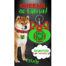 Petjoo 18.Cheems Yeşil-Kırmızı Qr'lı Köpek Künyesi