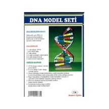 Dna Model Yapım Seti