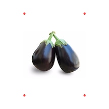 Topan Patlıcan Tohumu Çoklu Paket, 5 Gram