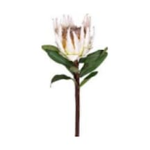 Yapay Çiçek Protea Çiçeği Beyaz 60 Cm Çok Renkli