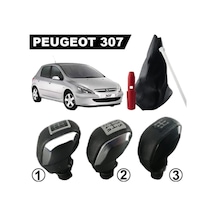 Peugeot 307 Spor Vites Topuzu Ve Körügü Takim 5 Ileri 468094813