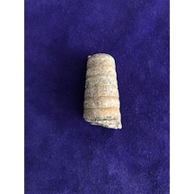 Kafadanbacaklı Baculites Fosil 45 Gram