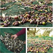 3X4 METRE ZEYTİN SERGİSİ ZEYTİN TOPLAMA FİLESİ FINDIK FISTIK ÖRTÜ