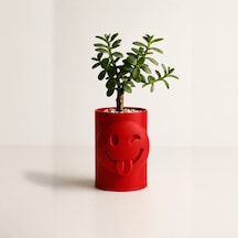 3d Baskı Emoji Planter - Göz Kırpan Yüzlü Sukulent Saksısı-kırmızı