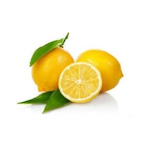 Limon Bonesi / 50 Adet / Çayı Bonesi - Pyrz-768288
