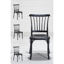 Violet Home Mutfak Sandalyesi 4 Adet Siyah