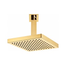 Eca Tiera Tavandan Altın Duş Başlığı 20x20 Cm- 102845032 Diğer