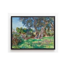 Botanik Sargent Korfu Zeytin Ağaçları Çerçevesiz Poster 21x30 Cm A4 Botanik Doğa Tarihi Duvar Dekoru