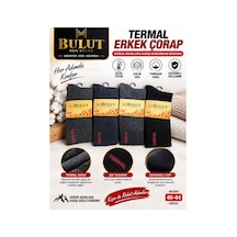 Çok Renkli